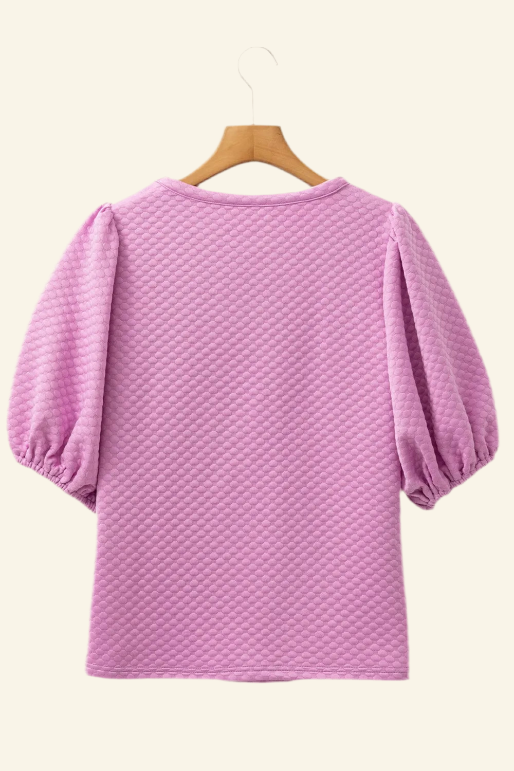 Textured Round Neck Puff Sleeve Blouse